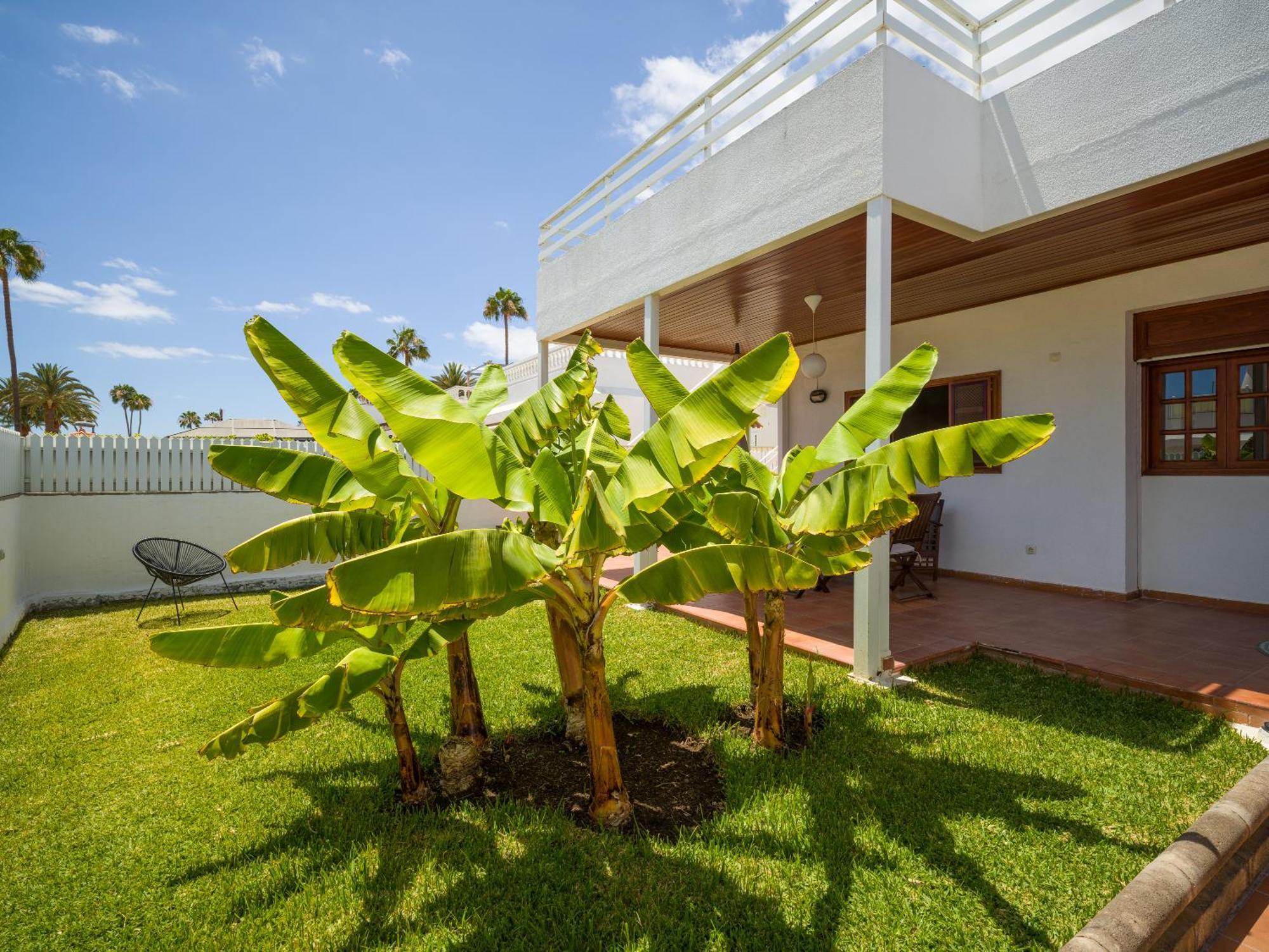 Banana House In Top Location By Tenpropertiesgc Маспаломас Екстериор снимка
